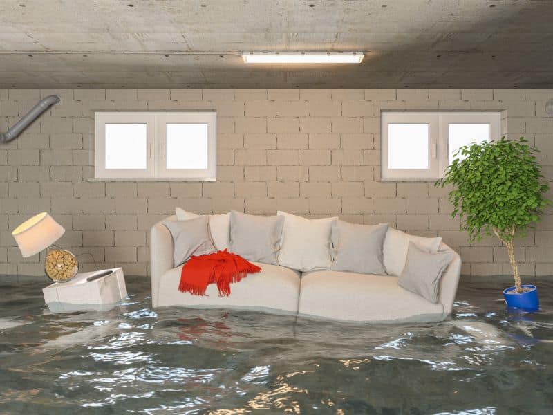 A basement submerged beneath several feet of water. A white sofa and side table, and a small tree in a blue plant pot float on the water. The basement wall is unfinished bare concrete block and has small windows high up in the wall.