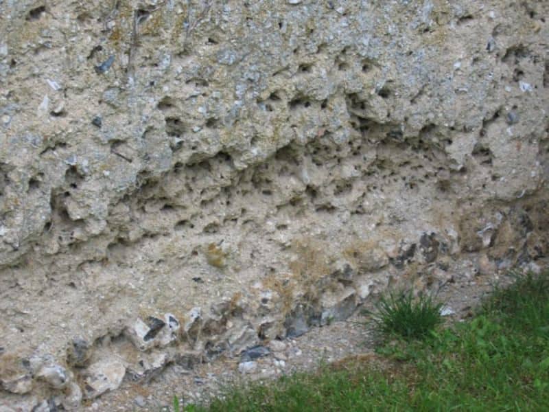 A cob wall has been damaged by masonry bees and woodpeckers who have drilled into it, peppering it with holes and harming its structure, causing parts to crumble.