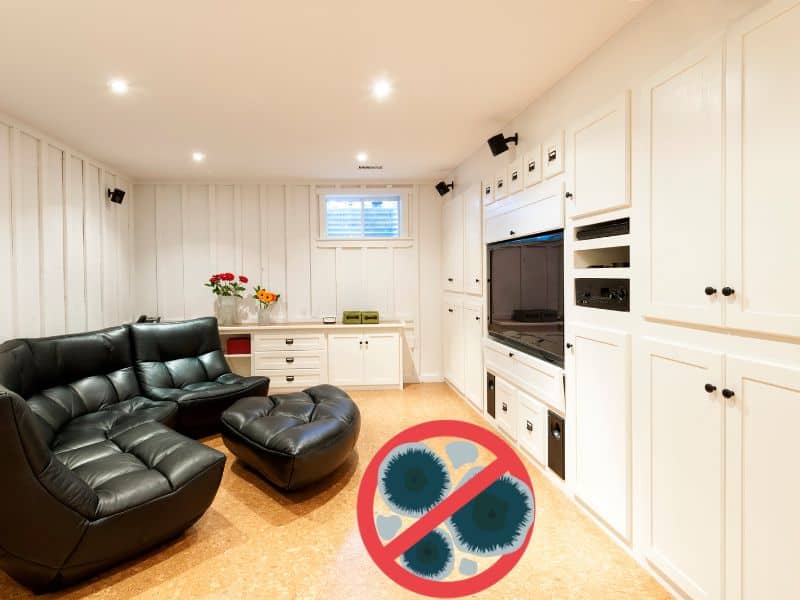 A photograph of a home cinema room with cork flooring, white units, and a black leather sofa. A graphic is overlain on the cork floor showing mold cells with a red circle with a red line through it.