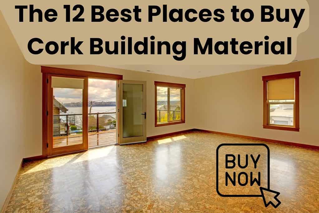 A photograph of a large empty room with cork flooring, large windows, and glass doors leading out onto a deck overlooking a body of water. Across the top of the image are the words, "The 12 Best Places to Buy Cork Building Material." In the lower right corner is a "Buy Now" button with a mouse icon hovering over it.