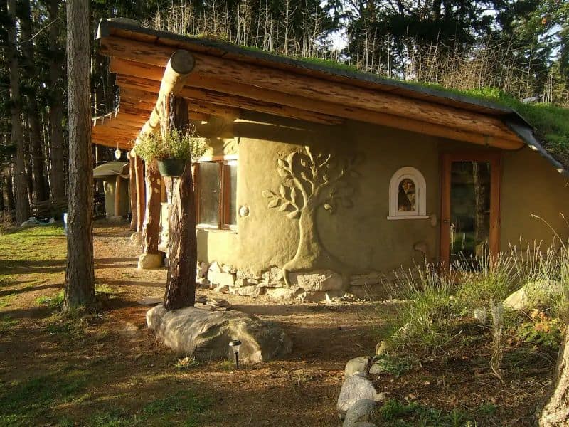 A cob house with curved walls in a forest. The wall has a tree sculpted onto it, and the pent roof has large straight timbers that overhand by a long way. The roof is a green roof with grass visible.