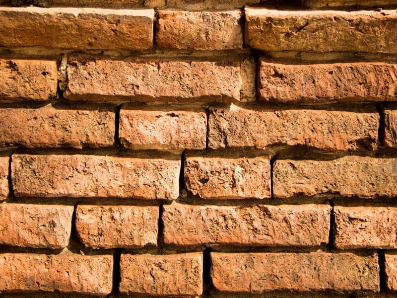 A freshly-laid adobe brick wall with individual bricks clearly visible.