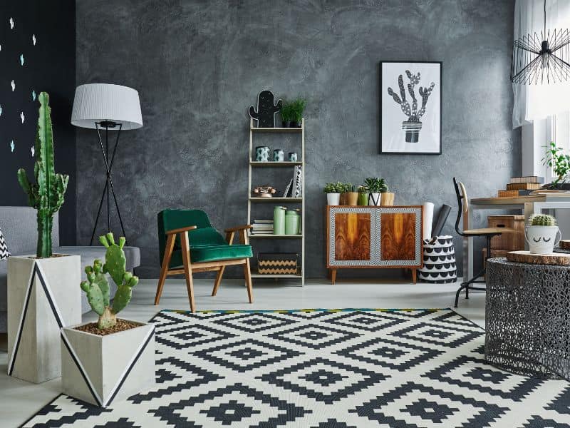 A monochrome room with gray walls and square-patterned gray and white rug. Cacti are placed around the room to create a desert theme.