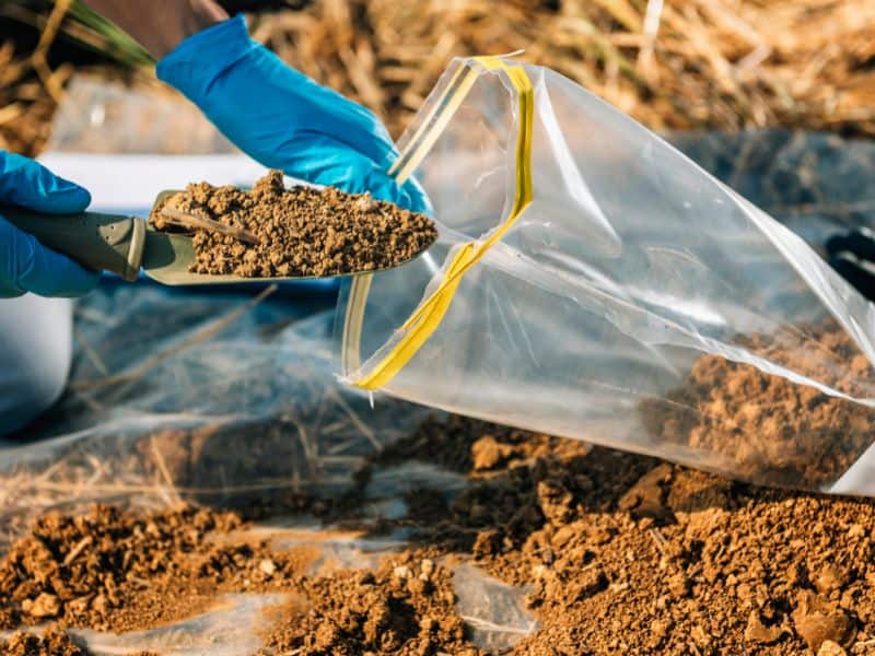 A person wearing blue rubber gloves takes a sample of soil using a trowel and places it in a plastic bag.