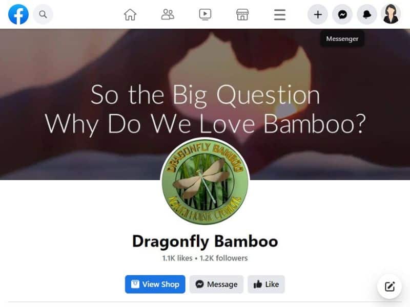 A screenshot of the Dragonfly Bamboo page on Facebook.