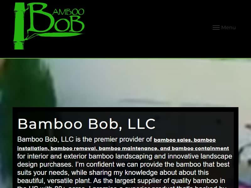 A screenshot of the Bamboo Bob website.