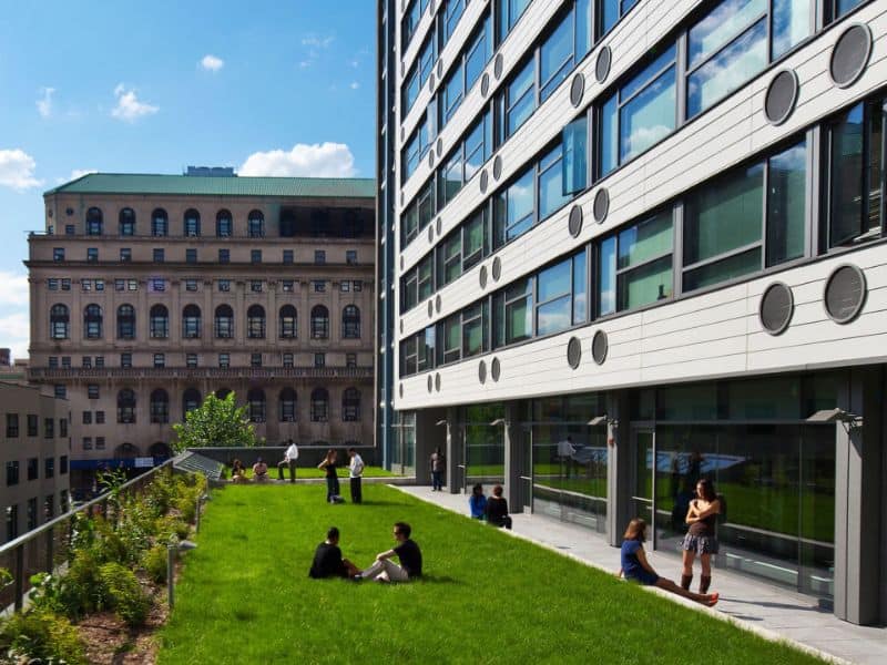 A photograph of the lawn outside Schermerhorn House with people enjoying the sunshine.