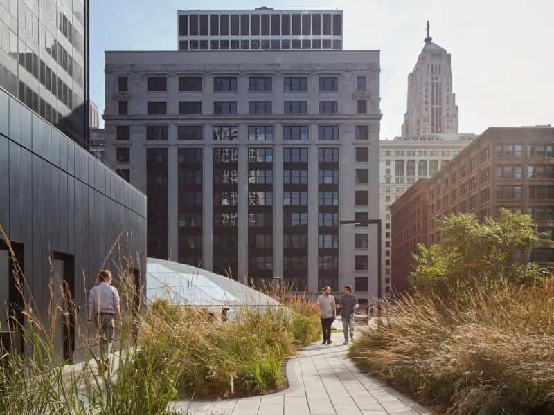 A photograph of the Willis Tower in Illinois. There is a paved areas in the foreground with many plants set into the paved area.