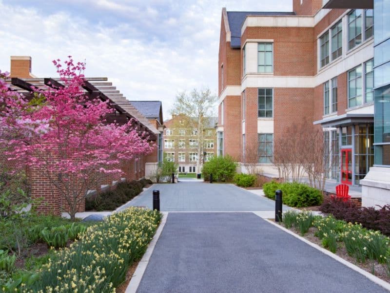 A photograph of Muhlenberg College. It has large windows and walls made from brick. In front of the building is a paved area with flower beds surrounding it.