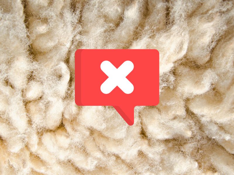 A close up photograph of a sheep's fleece with a red speech bubble containing a white cross. This indicates the concept of the cons of sheep's wool insulation.