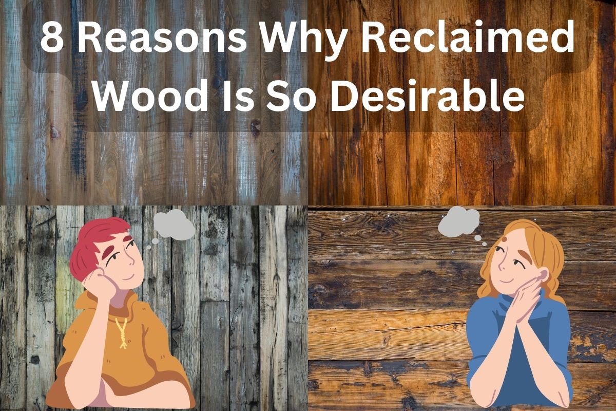 A collage of photographs of reclaimed wood walls and floors. Across the top of the image are the words "8 Reasons Why Reclaimed Wood Is So Desirable." In the lower left and lower right corners are a cartoon man and woman respectively, each daydreaming about which type of reclaimed wood to use.